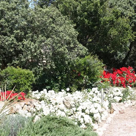 Golf Marina Вилла