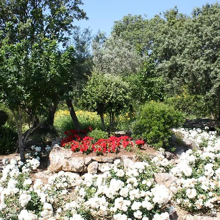 Вилла Golf Marina *