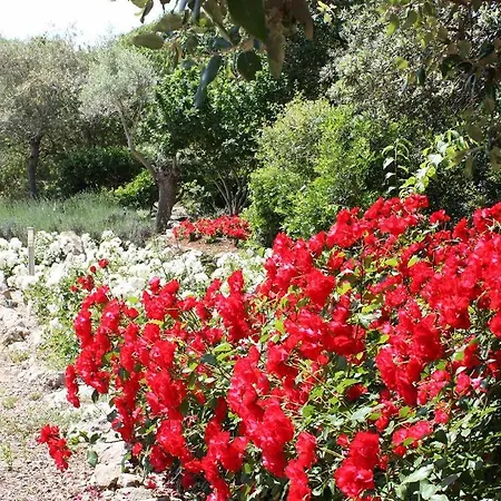 Golf Marina فيلة بويينسا