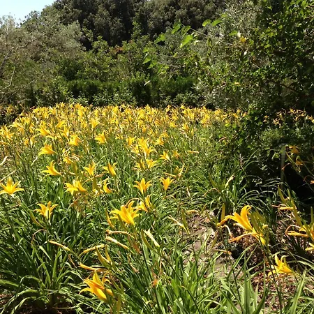 Golf Marina فيلة