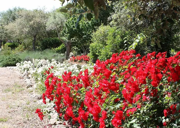 Golf Marina Villa Pollença